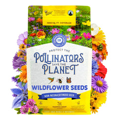 BUZZY Wildflower Seed Mix 1 lb bag front view
