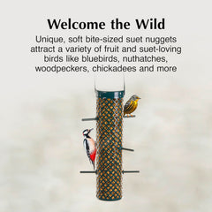 C&S Bluebird Suet Nuggets package dimensions
