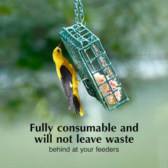 C&S Oriole Delight No Melt Suet Dough ingredients list