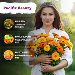Calendula flowers in a vase, showcasing their beauty