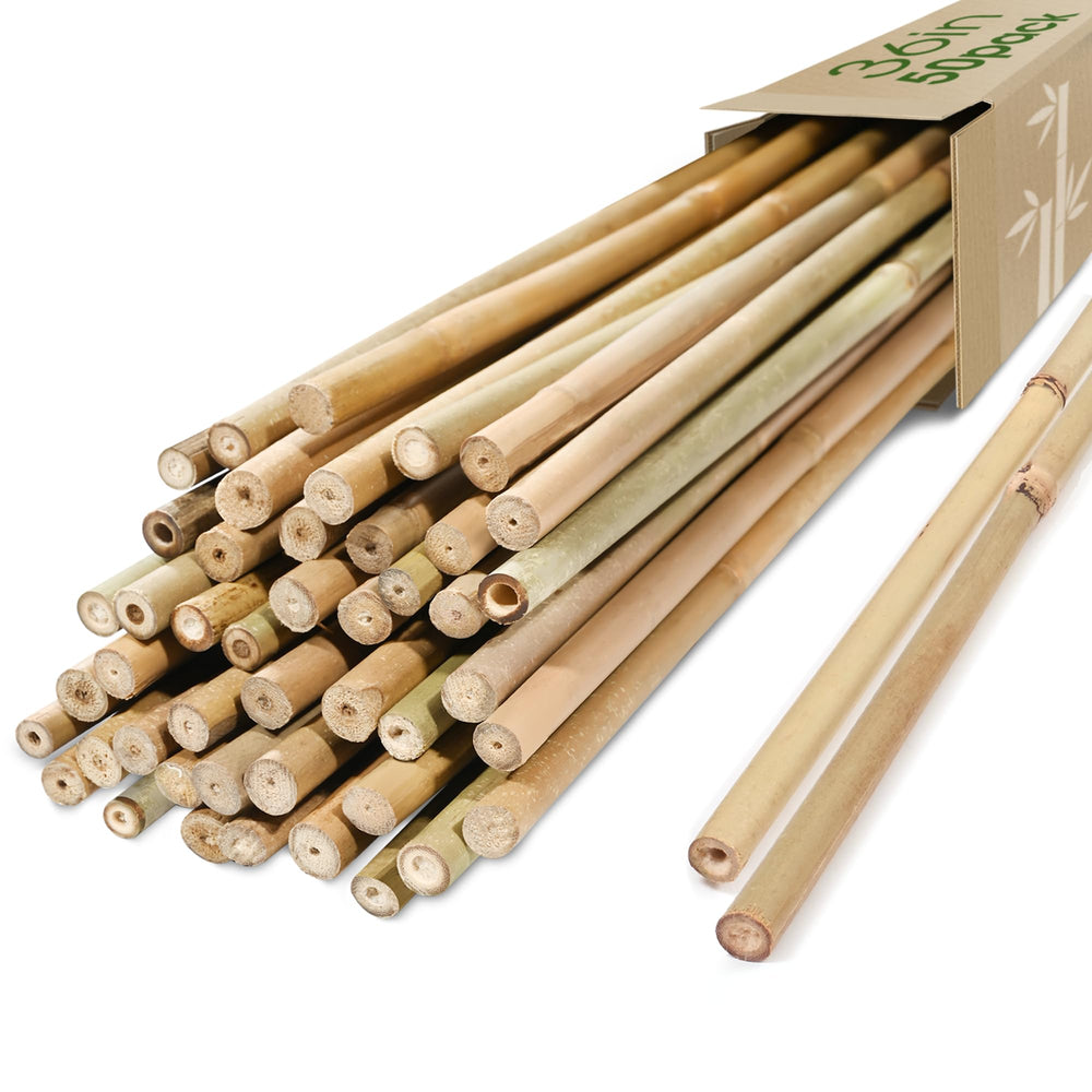Cambaverd Bamboo Stakes 3ft natural bamboo sticks pack of 50