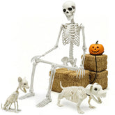 CAMIRUS 5.4ft Halloween Skeleton front view, white