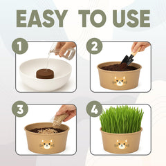 Cardboard bowls included in the AVERGO Cat Grass Kit