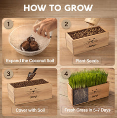Cat grass seeds packets included in AVERGO kit