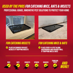 Catchmaster glue traps in a residential setting