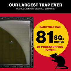 Catchmaster Jumbo Glue Trap in use on a floor