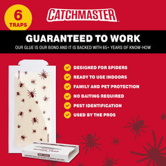 Catchmaster Spider Trap showing adhesive surface