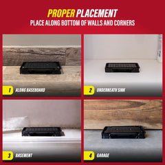 Catchmaster traps placed in a garage