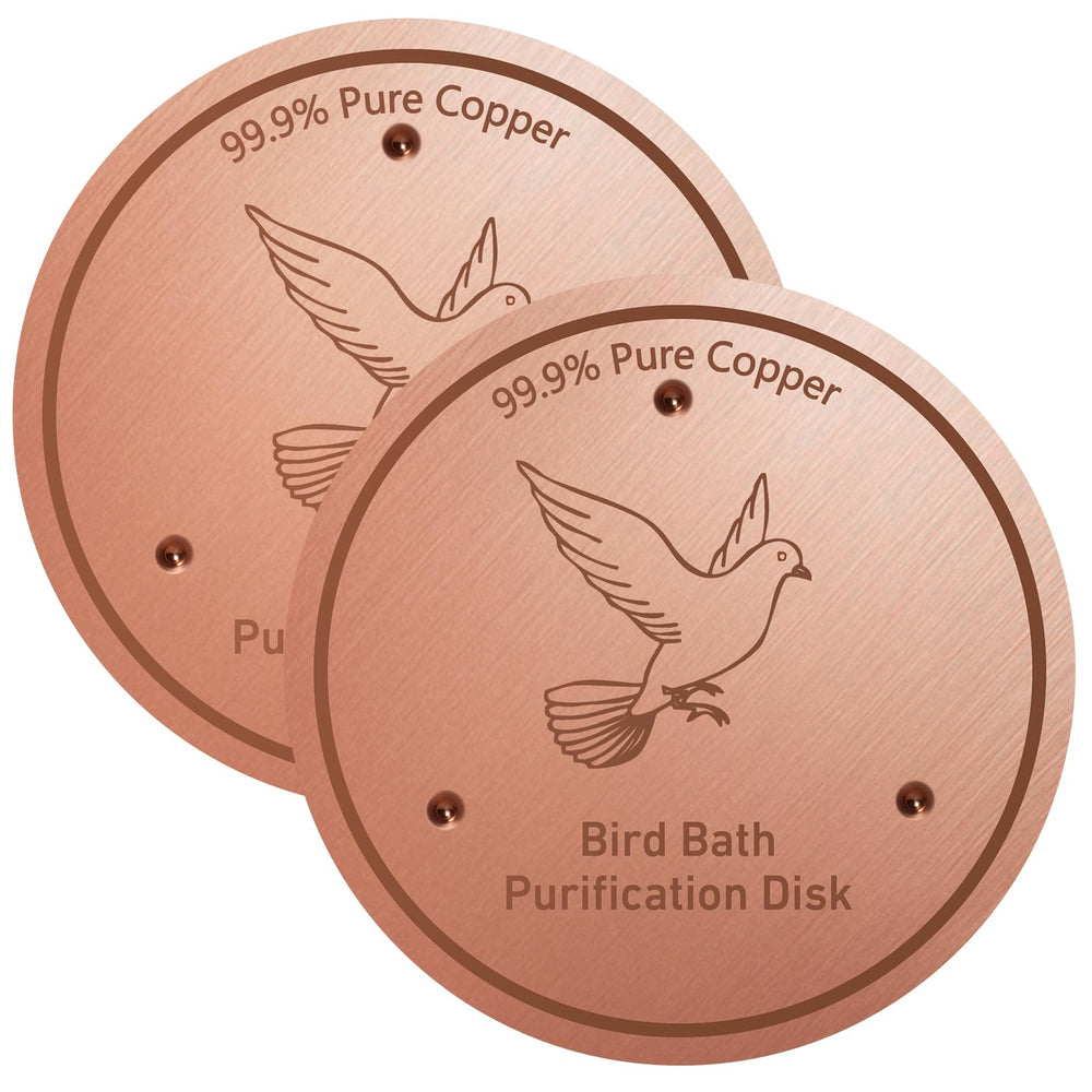 CDHSBJH Bird Bath Copper Disk front view