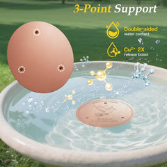 CDHSBJH Bird Bath Copper Disk in bird bath