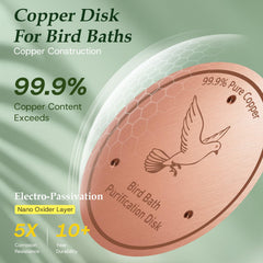 CDHSBJH Bird Bath Copper Disk side view