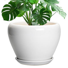 Ceramicfor 10 inch ceramic pot for plants front view