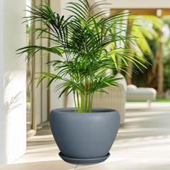 Ceramicfor 10 Inch Matte Gray Planter Pot with plants
