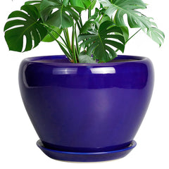 Ceramicfor 10 Inch Royal Blue Planter Pot front view