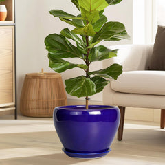 Ceramicfor 10 Inch Royal Blue Planter Pot with saucer
