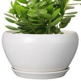 Ceramicfor 11 Inch White Ceramic Planter front view