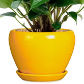Ceramicfor 6 Inch Ceramic Plant Pot in Bright Yellow front view