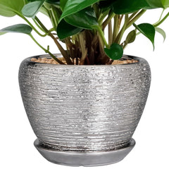 Ceramicfor 6 Inch Ceramic Planter in Silver with Saucer