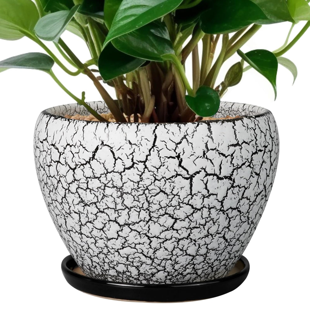 Ceramicfor 6 Inch Ceramic Planter Pot front view with saucer