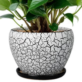Ceramicfor 6 Inch Ceramic Planter Pot front view with saucer