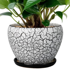 Ceramicfor 6 Inch Ceramic Planter Pot front view with saucer