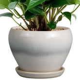 Ceramicfor 6 Inch Ceramic Planter Pot with saucer and drainage net