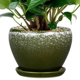 Ceramicfor 6 Inch Dark Green Planter Pot front view