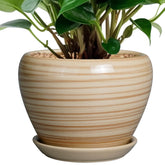 Ceramicfor 6 Inch Plant Pot front view with drainage hole and saucer