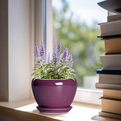 Ceramicfor 6 Inch Plant Pot with Drainage Hole and Saucer