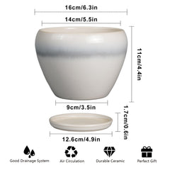 Ceramicfor 6 Inch Planter Pot on a windowsill with a snake plant
