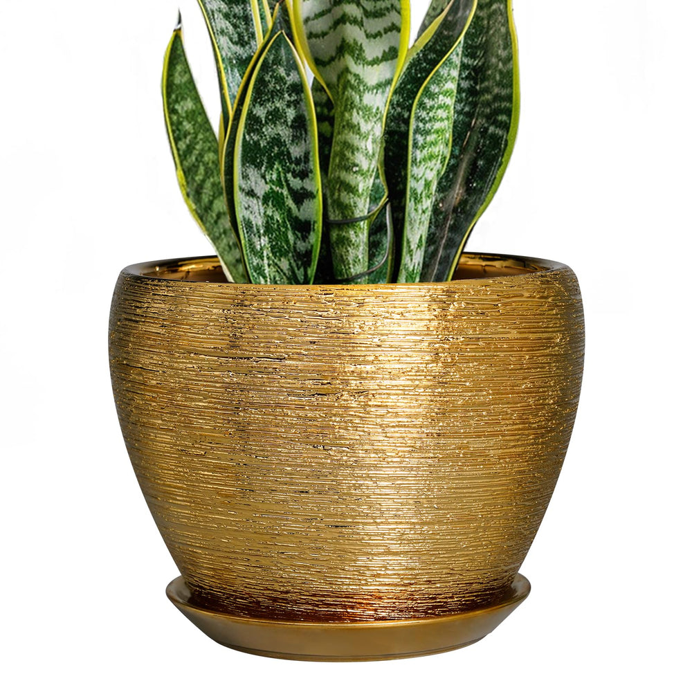Ceramicfor 8 Inch Gold Ceramic Planter with Drainage Hole and Saucer