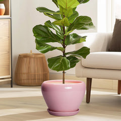 Ceramicfor 8 Inch pink succulent planter with drainage hole