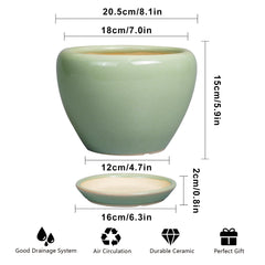 Ceramicfor 8 Inch Plant Pot side view showcasing its modern design