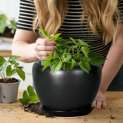 Ceramicfor 8 Inch Planter Pot on a table with plants