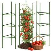 CEWOR 3 Pack Tomato Cage 51.2 Inch Green trellis front view