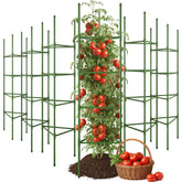 CEWOR 6 pack tomato cage green model front view