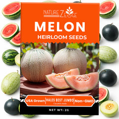 Charleston Grey melon seeds from NatureZ Edge
