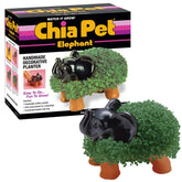 Chia Classic Elephant Planter front view with terracotta finish