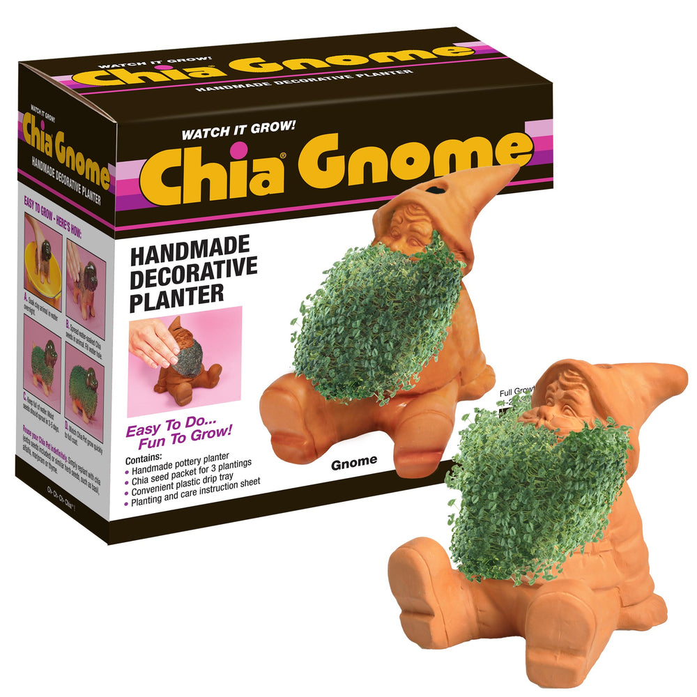 Chia Classic Gnome Planter front view with chia seeds