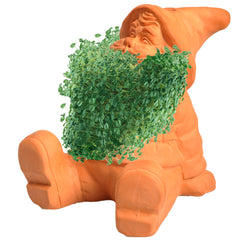 Chia Classic Gnome Planter in a kitchen setting