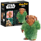 Chia Ewok Planter front view with terracotta finish