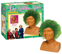 Chia Golden Girls Rose Terracotta planter front view