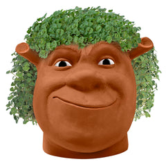 Chia Pet Shrek Planter with chia seeds packets