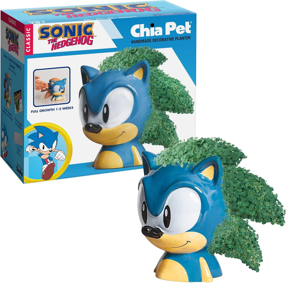 Chia Pet Sonic the Hedgehog terracotta planter with chia seeds