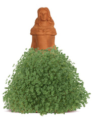 Chia seed packets included with planter