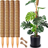 CHIAFFI 22 inch moss pole front view with jute rope