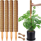 CHIAFFI 4 Pack 18 Inch Moss Poles front view with jute rope