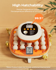 Chickcozy incubator showing the 360-degree viewing window
