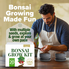 Chinese Elm bonsai tree with twisted trunk
