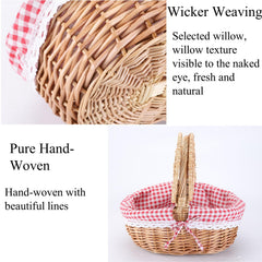 CiCixixi picnic basket with reusable picnic mat included